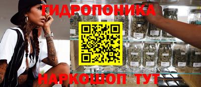 метадон Кингисепп