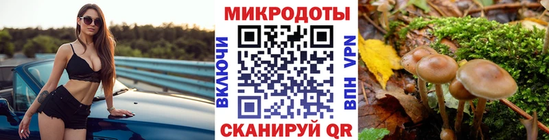 Псилоцибиновые грибы мухоморы  продажа наркотиков  мега зеркало  Полысаево 