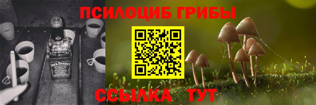 Полысаево  Галлюциногенные грибы Magic Shrooms  Вход с VPN 